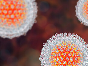 Hepatis-C-Virus Modell Elektronenmikroskop Hepatis-C-Virus Modell Elektronenmikroskop